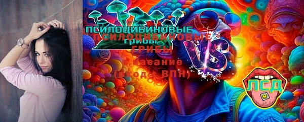 твердый Абаза