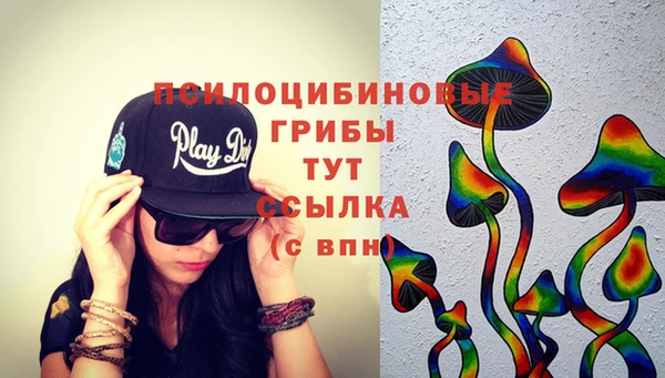 дмт Абинск