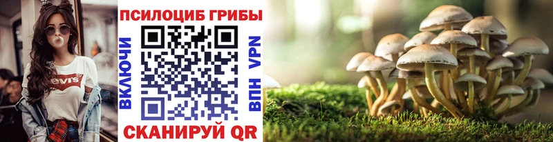 Псилоцибиновые грибы GOLDEN TEACHER Зеленокумск