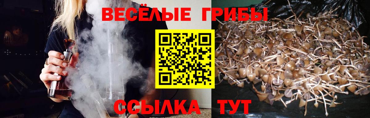 Галлюциногенные грибы MAGIC MUSHROOMS Зеленокумск