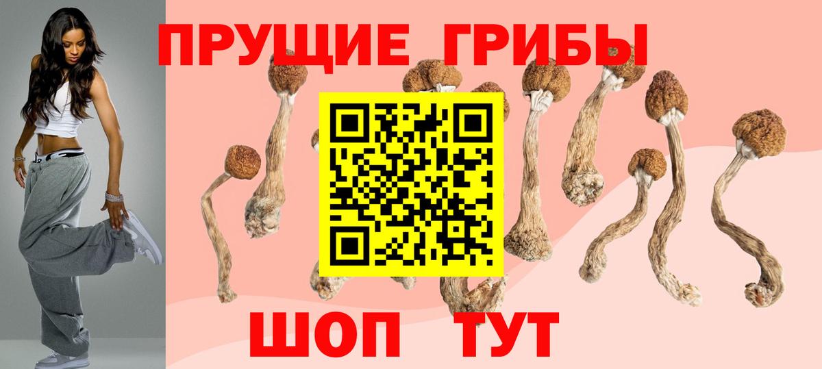 где продают наркотики  Псилоцибиновые грибы Cubensis  Вход с VPN  Зеленокумск 